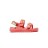 surfy buckles f